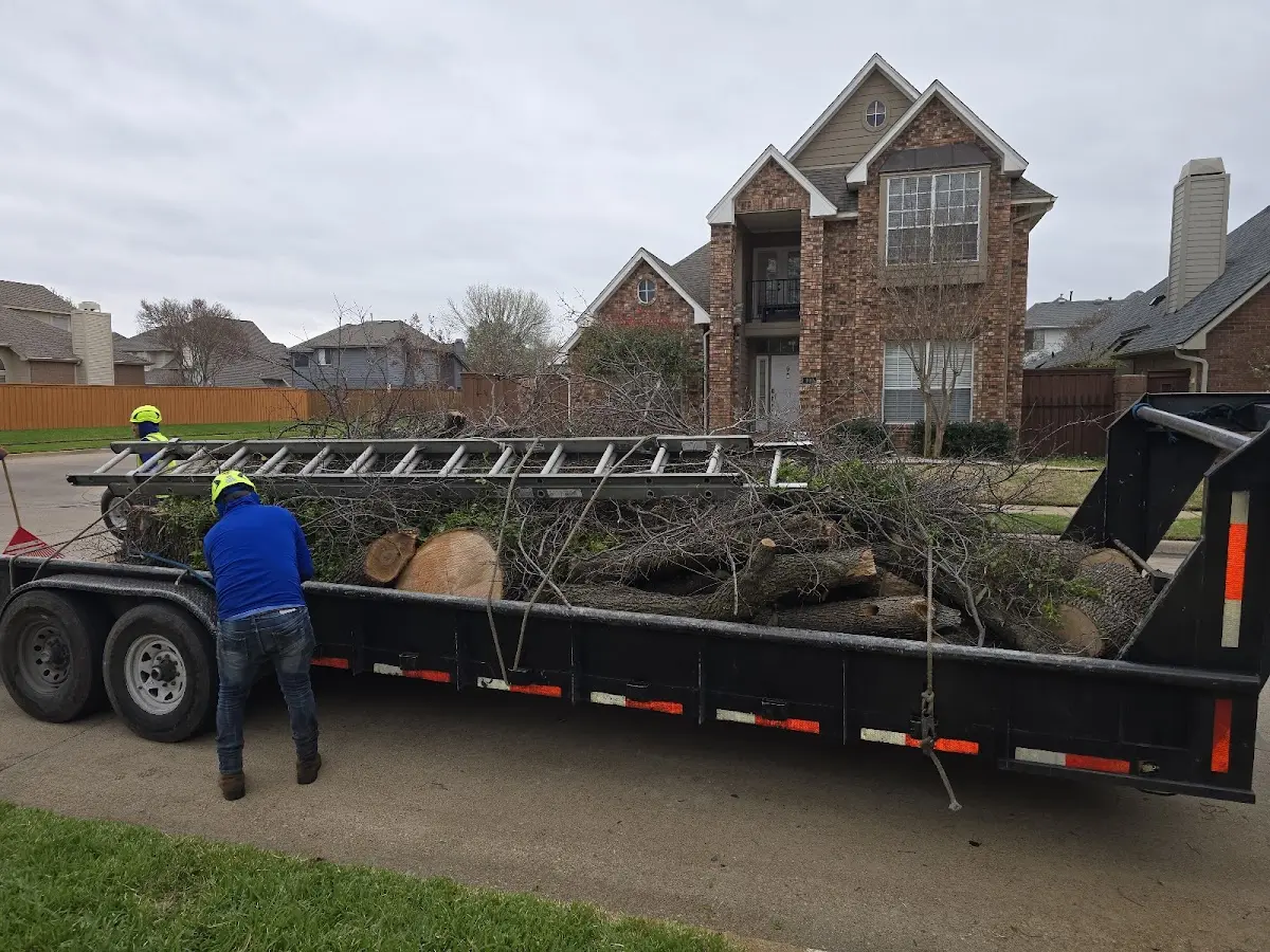 Expert Tree Fertilization with proper safety equipment in Armstrong